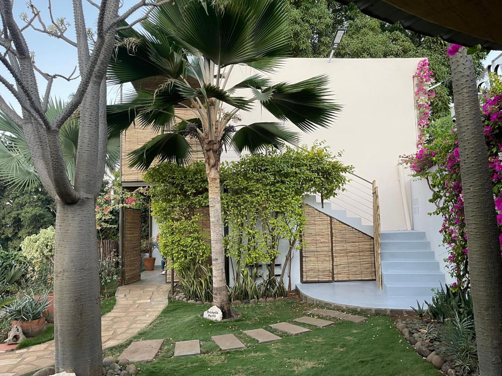 Le Jardin Exotique Hotel Antsiranana Exteriér fotografie