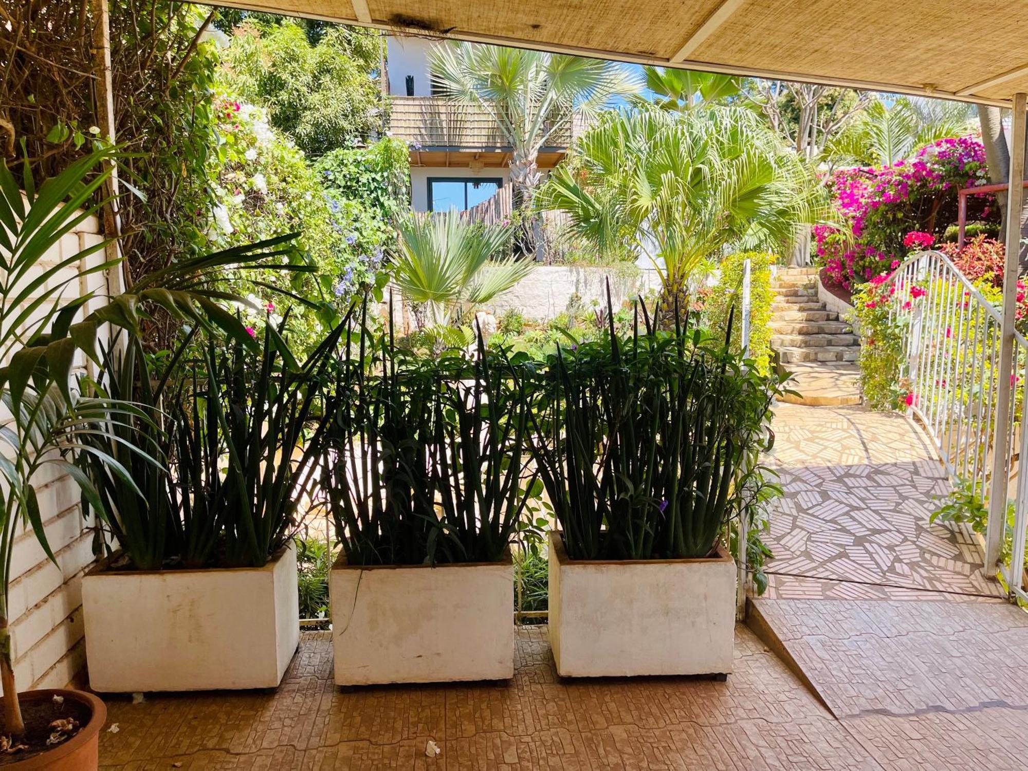 Le Jardin Exotique Hotel Antsiranana Exteriér fotografie