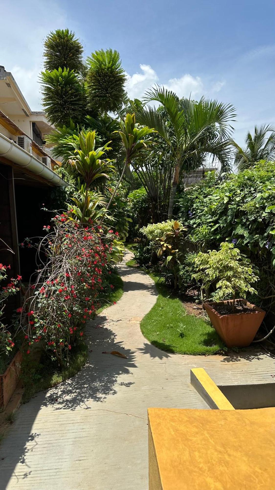 Le Jardin Exotique Hotel Antsiranana Exteriér fotografie